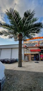 Изкуствена палма - Image 2