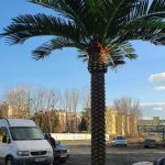 Изкуствена палма