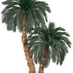 Изкуствена палма