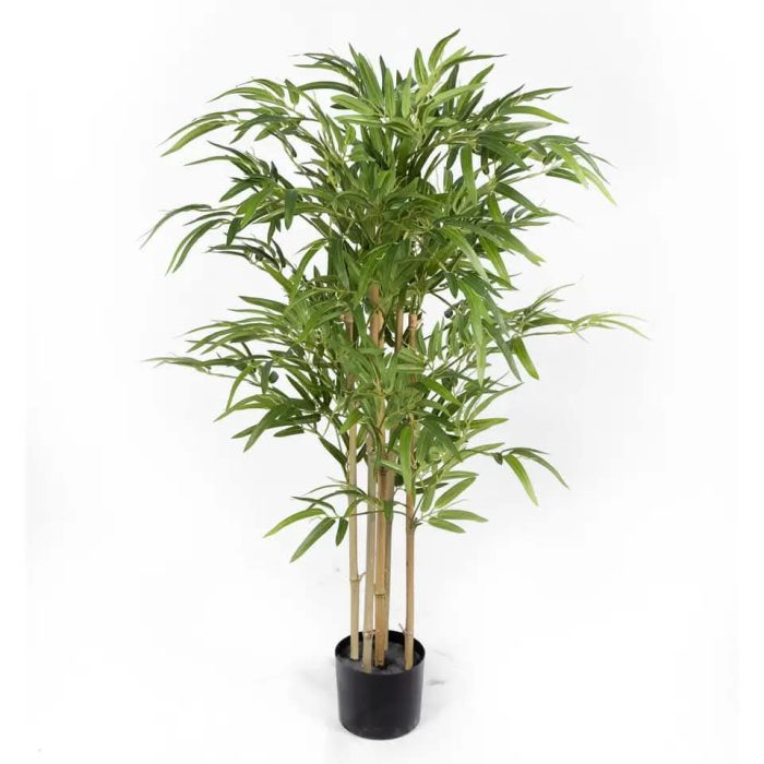 Бамбук - Image 2