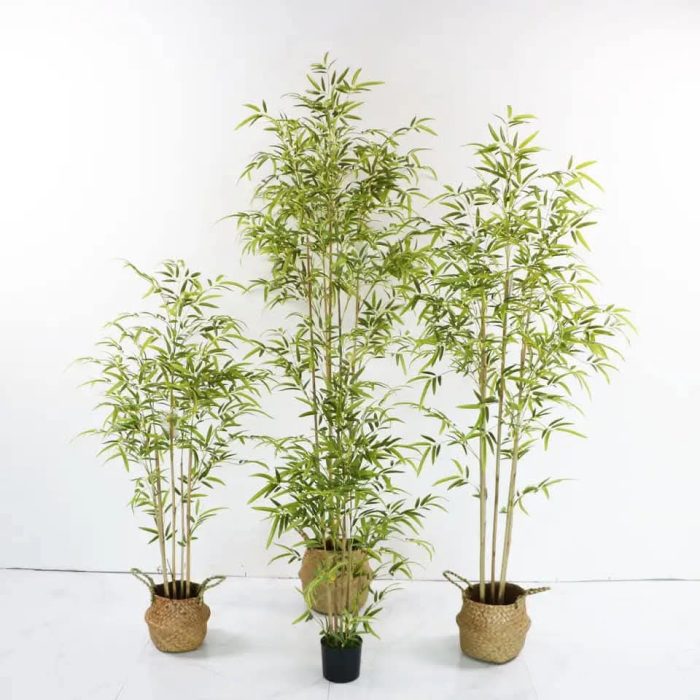 Бамбук - Image 4