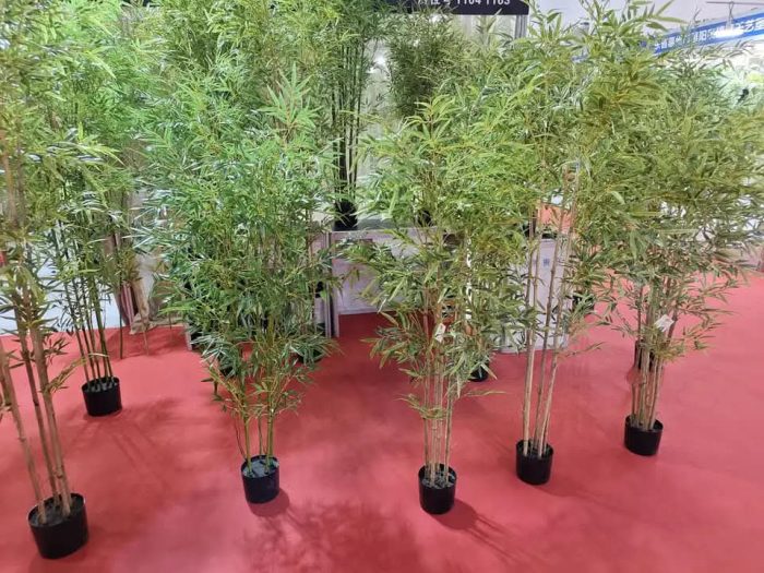 Бамбук - Image 6