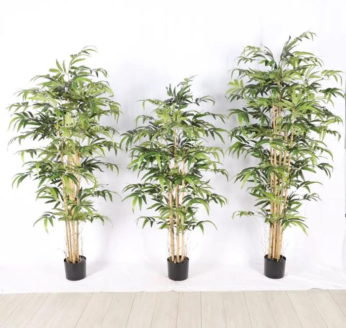 Бамбук - Image 7