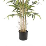 Бамбук - Image 8