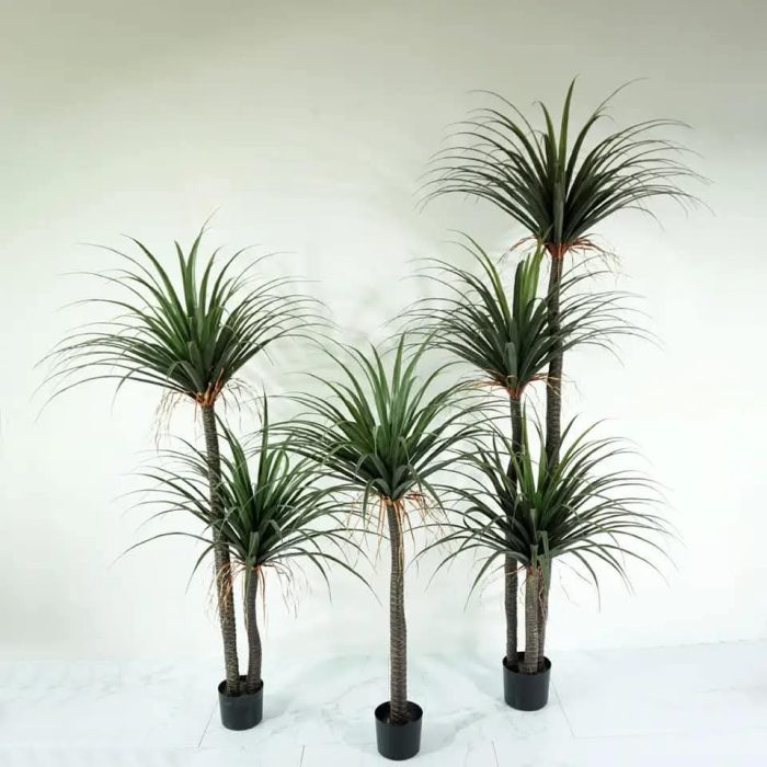 Остра Палма - Image 4