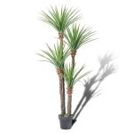 Остра Палма - Image 6