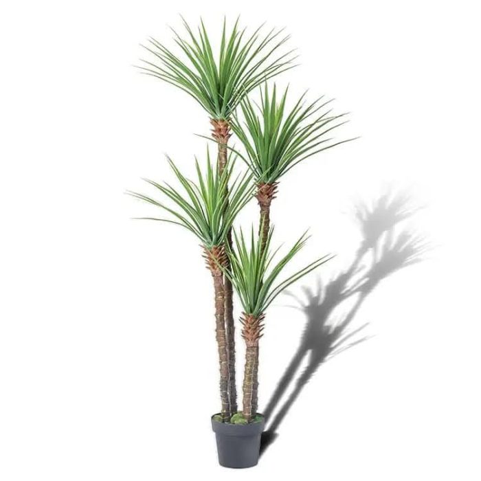 Остра Палма - Image 6