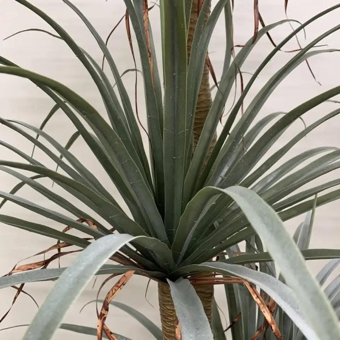 Остра Палма - Image 7