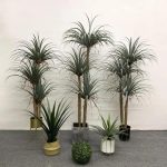 Остра Палма - Image 8