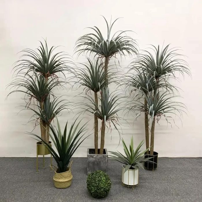 Остра Палма - Image 8