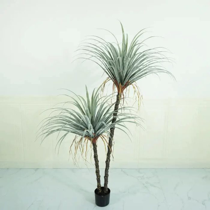 Остра Палма - Image 9