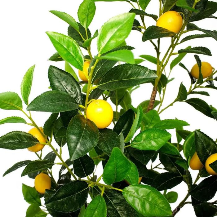 Лимон - Image 2