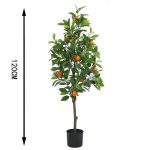 Портокал - Image 2