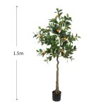 Портокал - Image 4