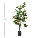 Портокал - Image 5