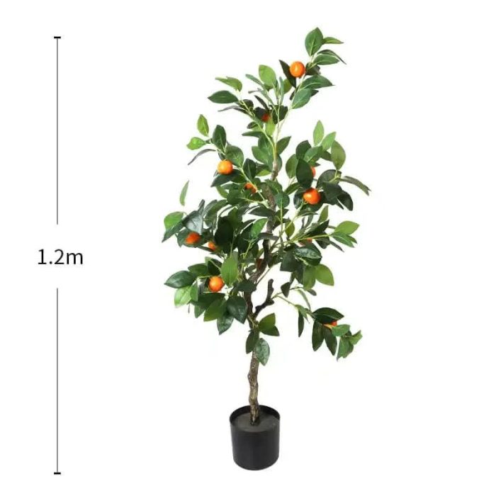 Портокал - Image 5