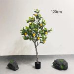 Лимон - Image 6