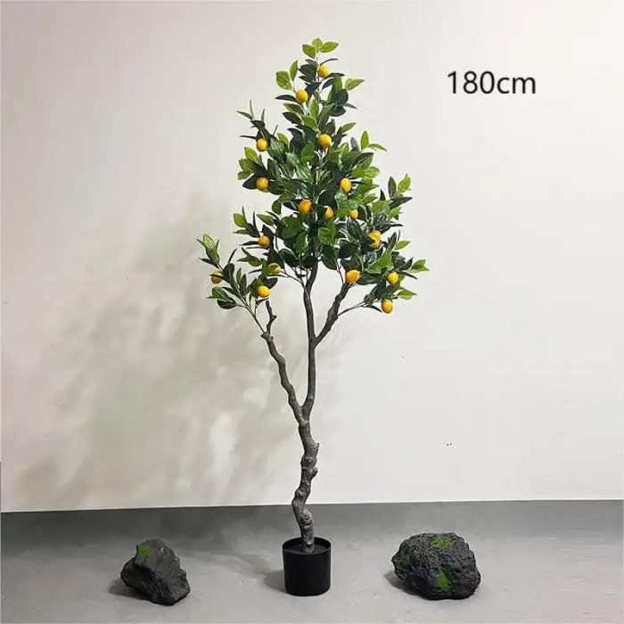 Лимон - Image 8