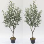 Маслина - Image 3