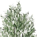 Маслина - Image 6