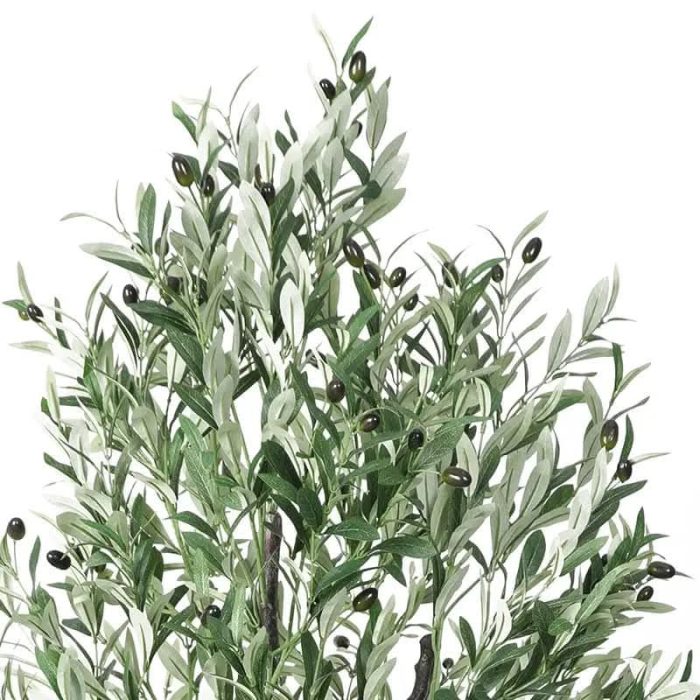 Маслина - Image 6