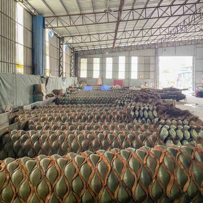 Изкуствени палми - Image 2