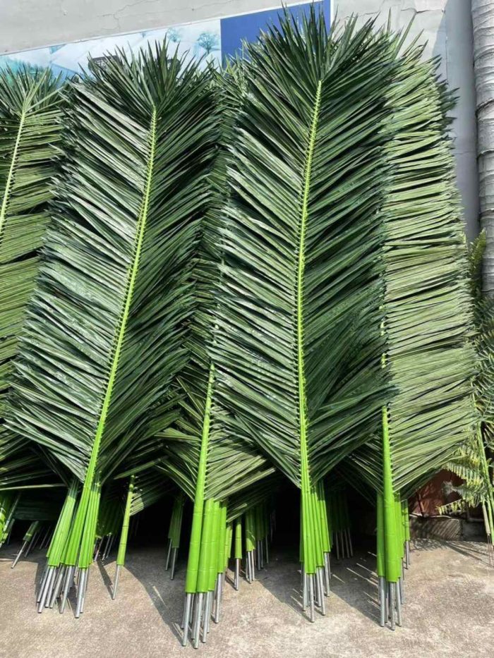 Палмови листа - Image 3