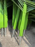 Палмови листа - Image 4