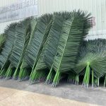 Палмови листа