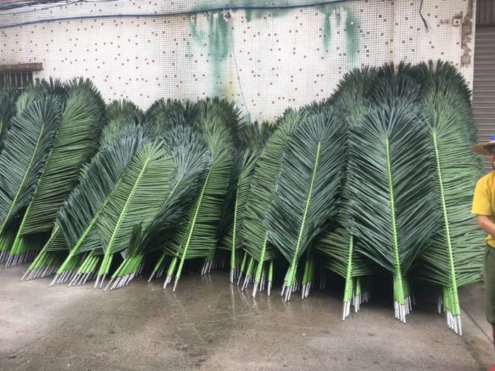 Палмови листа - Image 6