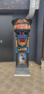 Боксова круша с награда - Image 6