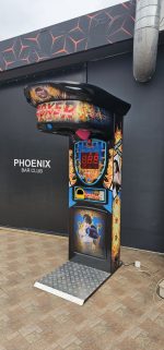 Боксова круша с награда - Image 4